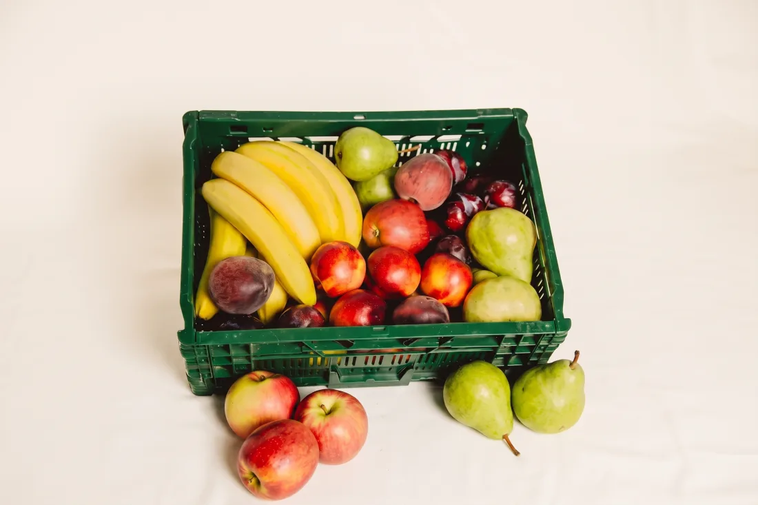 Früchte-Box “Basic”